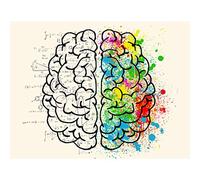 Meishe Art Modern Poster Print Human Brain Left and Right Functions Illustration Chart Science Abstract Sketch Home Wall Decor (72cm x 55cm)