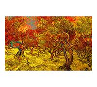Meishe Art Poster Olive Trees Orchard by Vincent Van Gogh Oil Painting Reproduction Giclee Canvas Prints Wall Art Artwork Pictures（50cm x 80cm