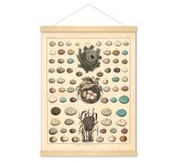 Meishe Art Poster Print Birds Nests Eggs Collection Identification Illustration Reference Chart Biology Science Educational Vintage Framed Home Wall Decor