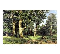 Meishe Art Poster Print Wall Art Picture Landscape Trees Oak Grove by Ivan Shishkin Oil Painting Reproduction (50cm x 80cm)