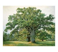 Meishe Art Poster Print Wall Art Picture Landscape Trees Oak In Old Peterhof by Ivan Shishkin Oil Painting Reproduction (40cm x 50cm)