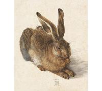 Meishe Art Poster Print Young Hare Rabbit by Albrecht Durer Famous Sketch Drawing Watercolour Painting Reproduction Classic Artwork Home Wall Decor for Living Room Bedroom(40cm x 50cm)