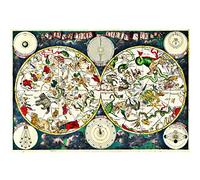 Meishe Art Vintage Planisphere Map Poster Print Wall Art Picture Celestial Navigation Chart Atlas Maps Astronomy Home Decor (55cm x 80cm)