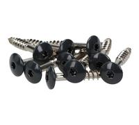 Meisterling Facade Screws 4.8 x 25 mm - V2 A Stainless Steel, grey