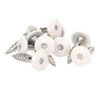Meisterling Facade Screws 4.8 x 25 mm - V2 A Stainless Steel, white