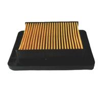 Meiwa Voge Trofeo 350 Ac E5 Air Filter
