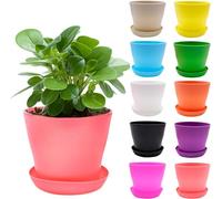 MEIYAXINWIN 10 Pcs Plant Pots Colorful, 10cm Plastic Flower Pots Small Plant Pot with Sauce for Indoor Outdoor House Garden Decorative
