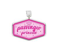 MEIYSTICK Passenger Princess Dust Plug Charm, Kindle Charm, Acrylic Dust Plug Charms Type C or Lightning, Kindle Accessories Charms, Pink Coquette Girly Gifts for Boy Girl (Type-C)