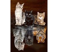 MEIYUDA 5D DIY Diamond Painting Art Kits Adult Cats Tiger Reflections, Diamond Painting Kit for Adults Beginners Kids Crystal Art Full Round Drill, Diamond Art Cross Stitch Home Wall Decor 30x40cm