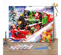 MEIYUDA Christmas Paint by Numbers for Adult Santa Claus, Christmas DIY Canvas Oil Painting Kit for Beginner, Drawing Paintwork for Home Wall Decor 50x40cm(Without Frame)