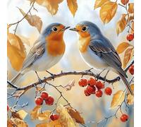 MEIYUDA Diamond Painting Art Cute Bird, 5D Diamond Painting Kits for Adults Kids Wall Art, Diamond Painting Kit DIY Gem Art Crystal Art for Home Wall Decor 30x30cm