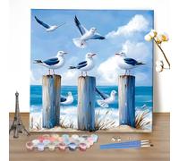 MEIYUDA DIY Paint by Numbers for Adults Animals, Paint by Numbers Kits Seagulls, Arts and Crafts for Beginner Acrylic Pigment Drawing Paintwork Wall Art 40x40cm(Without Frame)