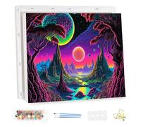 MEIYUDA DIY Paint by Numbers for Adults with Frame Blacklight Galaxy Space, Arts and Crafts Kit for Adults Beginner, Paint by Numbers Acrylic Pigment Drawing Paintwork for Home Wall Decor 40x30cm