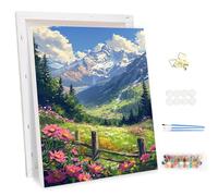MEIYUDA DIY Paint by Numbers for Adults with Frame Flower Valley, Arts and Crafts Kit for Adults Beginner, Paint by Numbers Acrylic Pigment Drawing Paintwork for Home Wall Decor 30x40cm