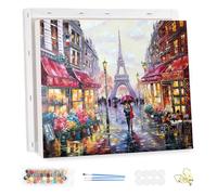 MEIYUDA DIY Paint by Numbers for Adults with Frame, Love in Paris Paint by Numbers Kits, Paint by Numbers Arts and Crafts for Beginner Acrylic Pigment Drawing Paintwork Wall Art 40x30cm