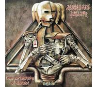 MEKONG DELTA - PRINCIPLE OF DOUBT SLIPCASE - CD - K72z
