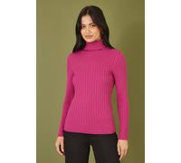 Mela Pink Ribbed Knit Roll Neck Jumper Pink XL