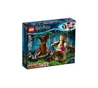 MELARQT LEGO Harry Potter Forbidden Forest: Umbridge’s Encounter 75967 Magical Forbidden Forest Toy from Harry Potter and The Order of The Phoenix, New 2020 (253 Pieces)