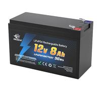 melasta 12V 8Ah LiFePO4 Rechargeable Battery With BMS Protection 2000 Cycle