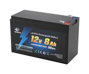 melasta 12V 8Ah LiFePO4 Rechargeable Battery With BMS Protection 2000 Cycle