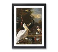 Melchior D'Hondecoeter Birds Classic Painting Framed Print | A2 Black Framed Wall Art | Ready to Hang | Classic Historical Picture | Living Room Bedroom Lounge Office