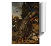 Melchior d'Hondecoeter Peacock | Unframed Wall Art Print | Ready to Frame Poster | Modern Home Decor Picture | Artwork for Living Room, Bedroom, Kitchen or Office | A1 (59.4x84.1 cm)