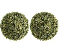 Melilot Blue Organic Herb - blue fenugreek - Meliloti coerulea, Trigonella caerulea (Pack of 2)