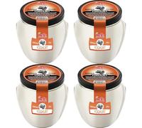 Melis Yoghurt%7 Fat Buffalo Yoghurt 530 Gram x 4 PACKS by Pufai Grocery