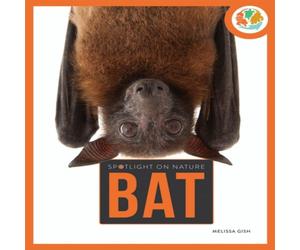 Melissa Gah Spotlight on Nature: Bat Paperback Book Melissa Gah Multicolor