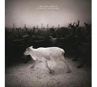 Melissa Laveaux - Dying Is A Wild Night - Vinyl Record - K4z