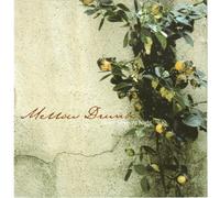 Mellow Drunk - Never Sleep At Night