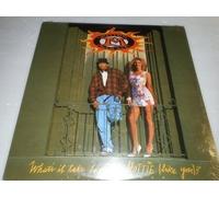 Mellow Man Ace - Whats It Take to Pull a Hottie [VINYL]
