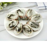 Mellsunny 8Pcs Artificial Oysters Fake Shellfish Seafood Model Simulation Oysters Prop Food Sample Display for Kitchen Home Party Decorations