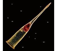 Leprous - Melodies Of Atonement