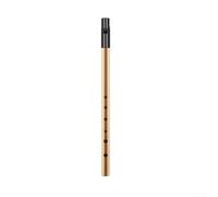 Melodious Irish Whistle in C/D Keys, 6 Hole Flute Instrument for Music Lovers (Gold D Key)