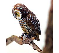Melody Jane Dolls House Pel's Fishing Owl Miniature Outdoor Bird Animal Garden Accessory