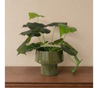 Melody Maison Large Olive Green Speckled Metal Planter Pot - 24Cm X 20Cm