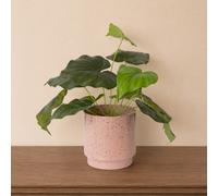 Melody Maison Large Pink Speckled Metal Planter Pot - 20Cm X 20Cm