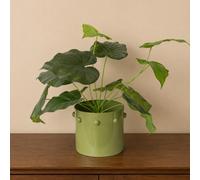 Melody Maison Medium Olive Green Bobbled Metal Planter Pot - 18.5Cm X 22Cm