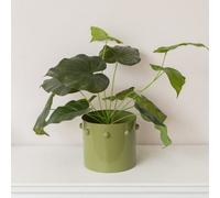 Melody Maison Medium Sage Green Bobbled Planter Pot - 18.5Cm X 22Cm