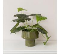 Melody Maison Round Olive Green Speckled Iron Planter Pot - 24Cm X 20Cm