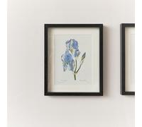 Melody Maison Vintage Blue Iris Flower Framed Wall Print 20Cm X 25Cm