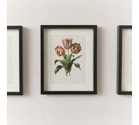 Melody Maison Vintage Red Tulip Flower Framed Wall Print 20Cm X 25Cm
