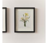 Melody Maison Vintage White Daffodil Flower Framed Wall Print 20Cm X 25Cm