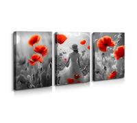 Melogale Red Poppies Triptych Canvas Wall Art Set - Home Picture Nature Print Poster Decor for Bedroom, Living Room, Café, Studio, Gallery, Nature Nook, Boudoir 12x16 Inch Each