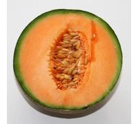 Melon Charmont Melon Plant 3 Plug Plants