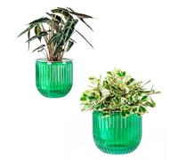 Melphoe Self Watering Pots for Indoor Plants Planter, 8.3/5.3 Inch 2 Pack Planters Self Watering Plant Pots for Flower, Houseplants, Succulent, African Violets and Cactus with Drainage