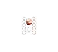 Melshabt 10Pcs 18G Nose Rings Hoops Surgical Steel Seamless Hoop Cartilage Daith Tragus Septum Sleeper Earrings Silver Gold Black Rose Gold Hypoallergenic Body Piercing Jewelry for Women Men 6-10MM