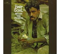 Melvin Van Peebles - Brer Soul