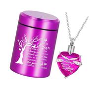 Memorial Pendant Necklace with Small Urn Container, Pet Ashes Memento Set for Quiet Remembrance Moments At Home Pet Ashes Necklace Cremation Jewelry Holder Remembrance Pendant Compact Urn Container